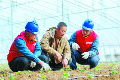 供电员工在招远市建新种植专业合作社的智慧农业大棚里检查水肥一体灌溉设备用电情况 新华社发
